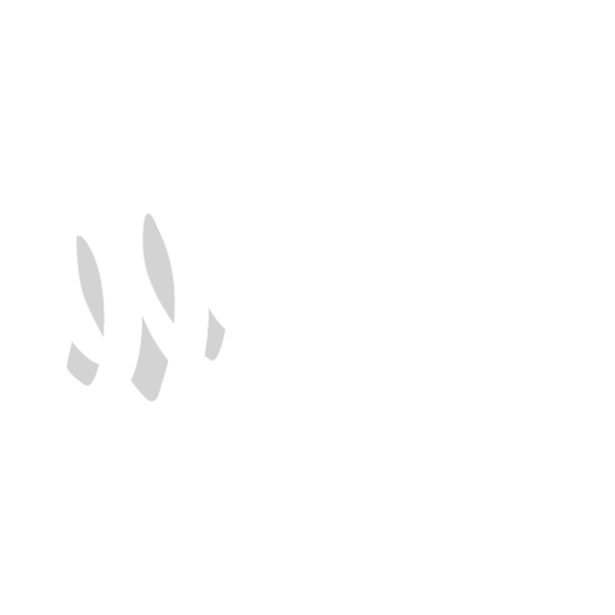 Blanco Events