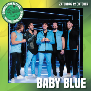 Dommel Park Festival Baby Blue